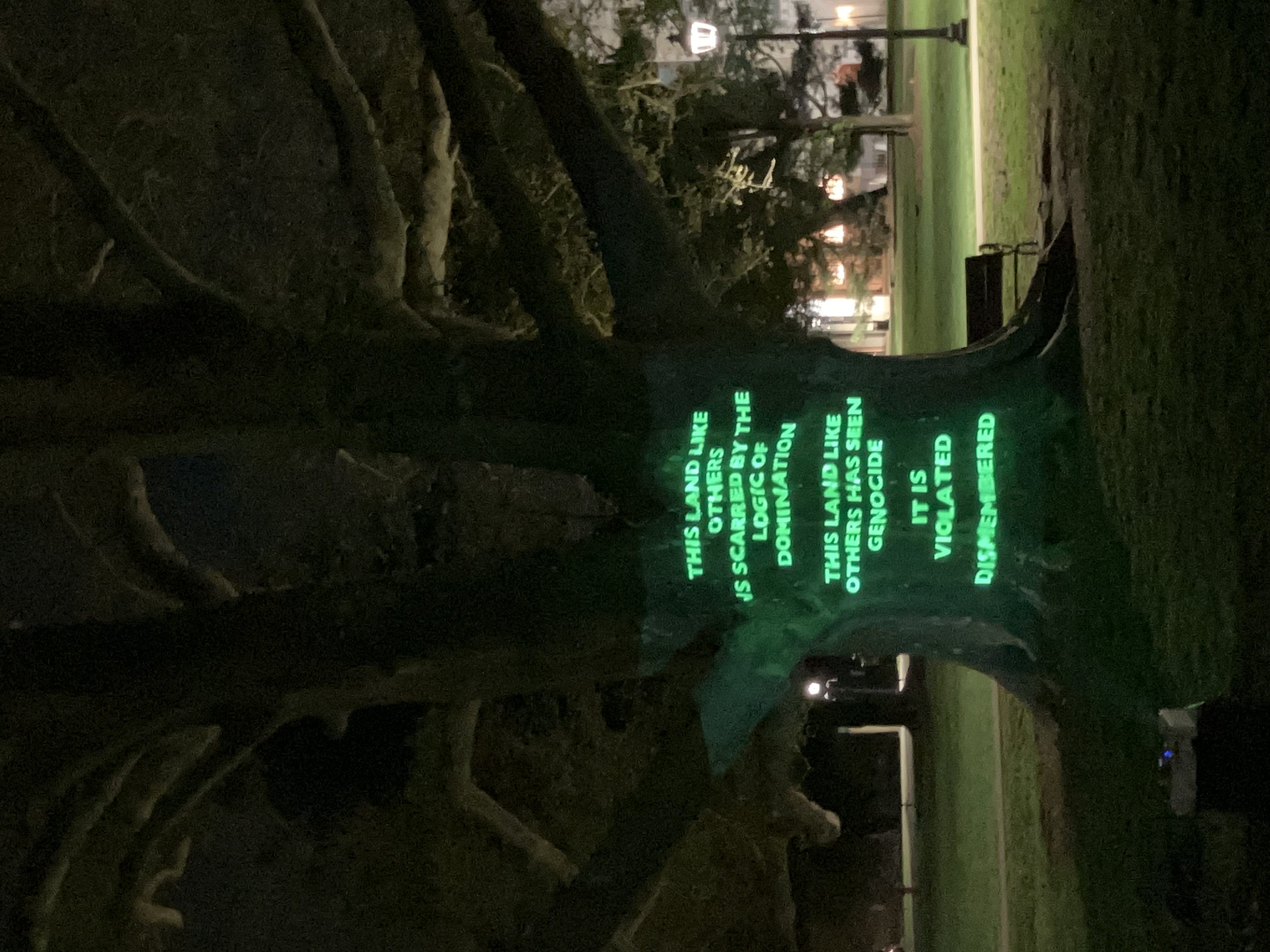 Green text projected on the trunk of a plane tree at night. It reads: This land like others is scarred by the logic of others / This land like others has seen genocide / It is violated / Dismembered.